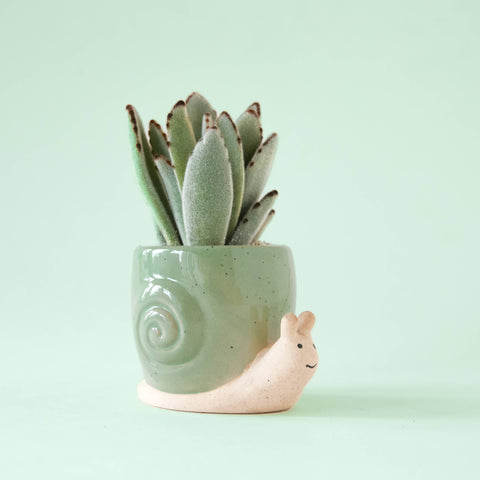 Snail Planter | Lagoon: S