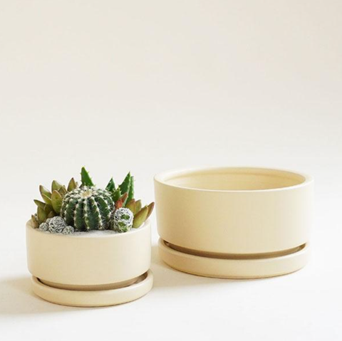 8.25" Gemstone Low-Bowls with Water Saucers: Dusty Rose