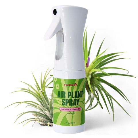Air Plant Fertilizer - Spray and Soak: 1 oz