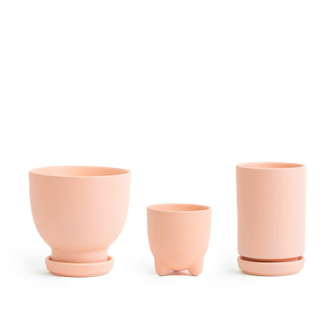 Plant Junkie Set - 16 pc/cspk: Textured Forest