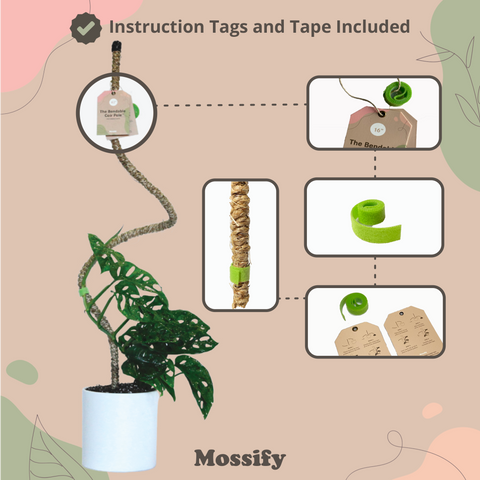 Original Bendable Coir Pole™ - Climbing Plants - Best Seller: 42" (Large)