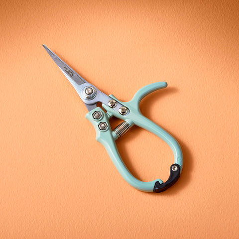 New Colors! Garden Shears : Sage