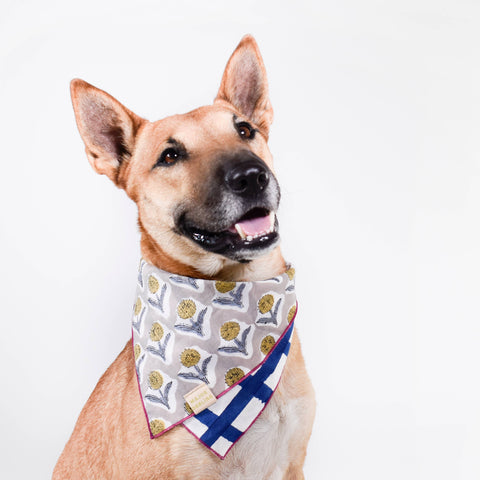 Double Sided Dog Bandana: Blue + White Peacock