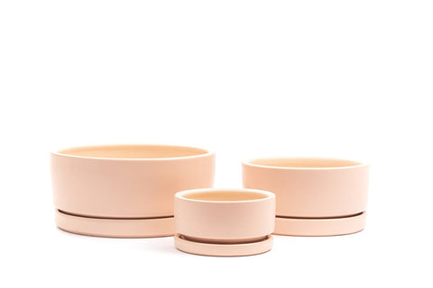 8.25" Gemstone Low-Bowls with Water Saucers: Dusty Rose