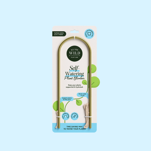 Self-Watering Plant Climber - Case of 6