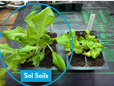 Soil (1Gal) Seedling & Propagation Mix: 1 Gallon (4 quarts)