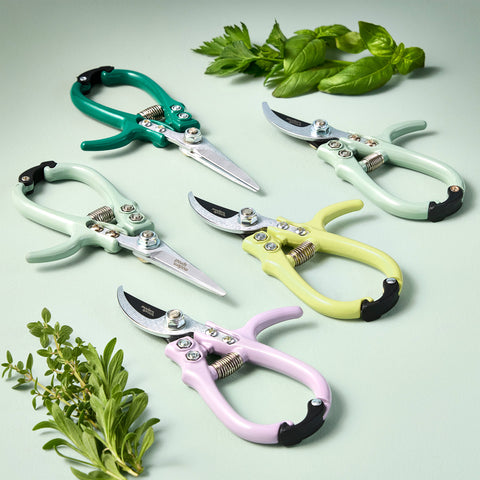 New Colors! Garden Shears : Sage