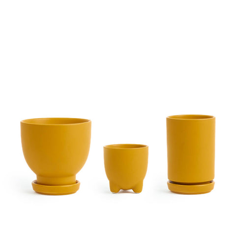 Plant Junkie Set - 16 pc/cspk: Textured Forest