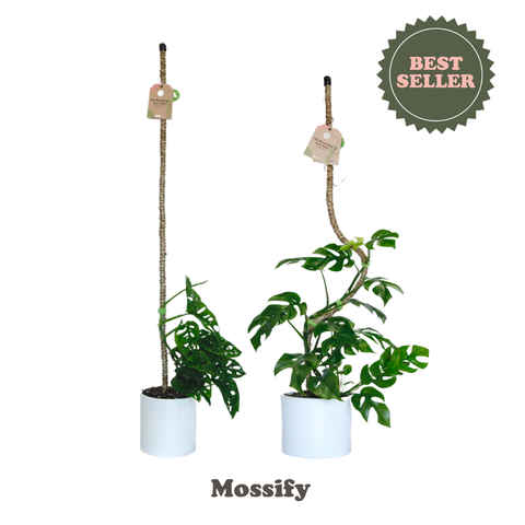 Original Bendable Coir Pole™ - Climbing Plants - Best Seller: 42" (Large)