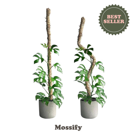 Original Bendable Moss Pole™ - Climbing Plants - Best Seller: 16" (Small)