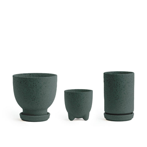 Plant Junkie Set - 16 pc/cspk: Textured Forest