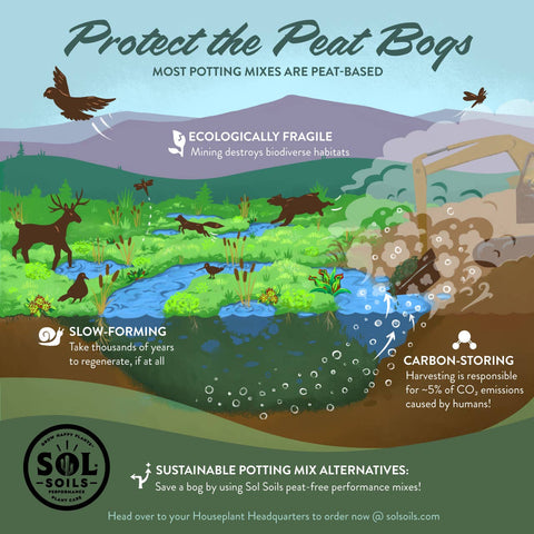 Soil (2Qt) Succulent Gritty Mix: 2 Quarts