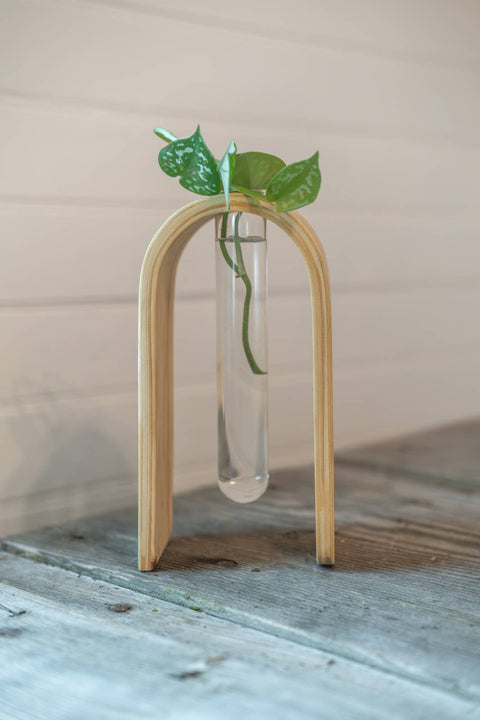 Propagation Vase