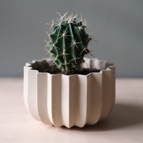 Wrap Planter: Dune / 5 inch