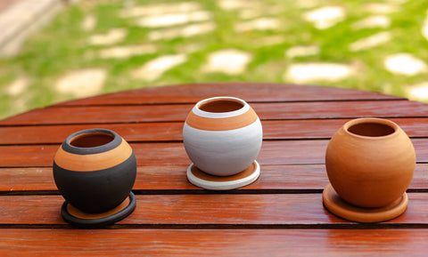 Round Planter with Drainage Plate: Mixed