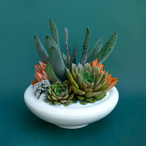Birdie Bowl | Vintage White : 6.25 inch