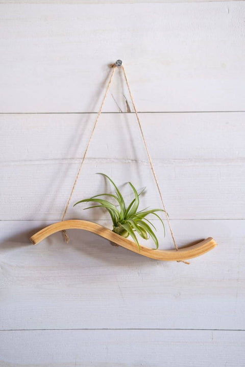 Mini Wave Air Plant Hanger, Air Plant Display, Mini Wave, Air Plant Hanger, Mini Plant Hanger, Bent Wood