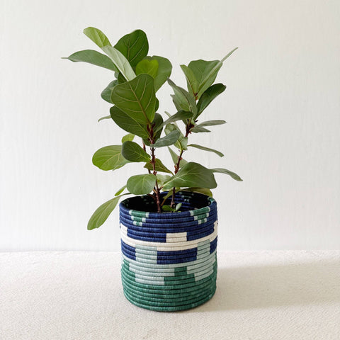 Storage Plant Basket (Set of 3): Mutala