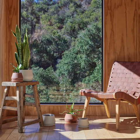 The Rancho Planter: Terra / 5 Inch