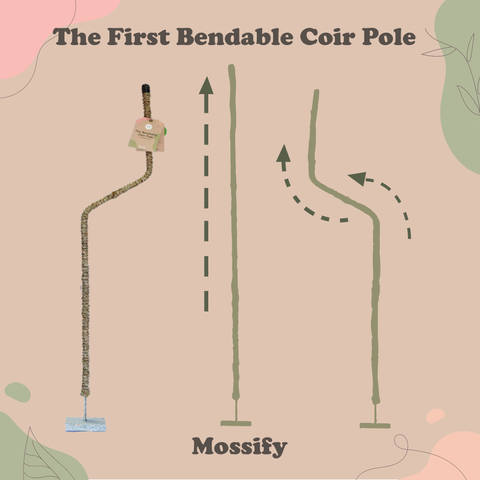 Original Bendable Coir Pole™ - Climbing Plants - Best Seller: 42" (Large)