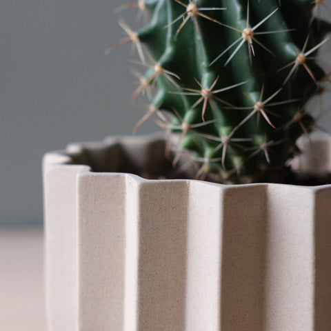 Wrap Planter: Dune / 9 inch