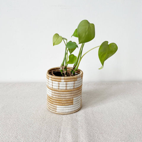 Storage Plant Basket: Bushoki (Set of 3)