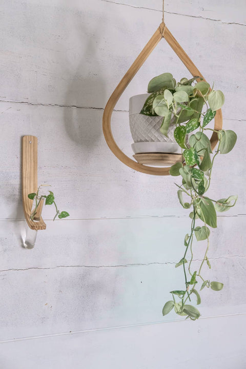 Single Propagation Station with Tube