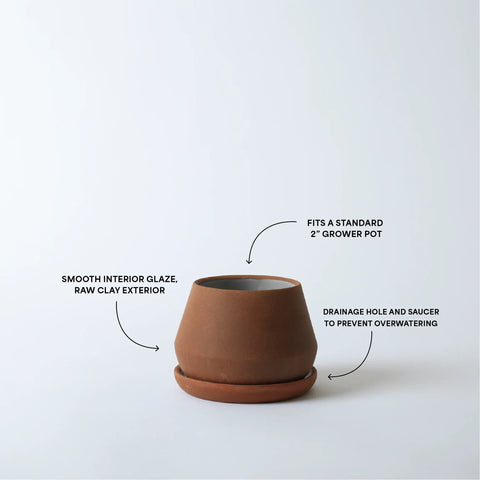 The Rancho Planter: Terra / 7 Inch