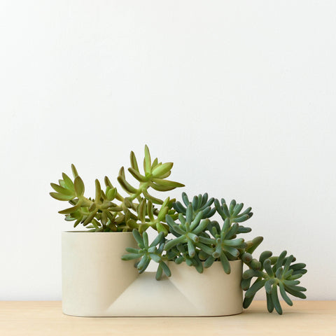 Double Planter: Black