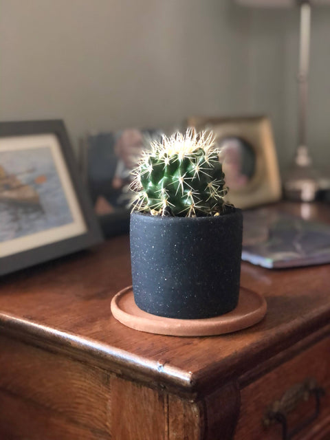 Small Ceramic Planter: White