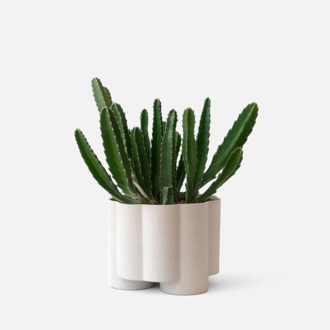 Pillar Planter: Brick
