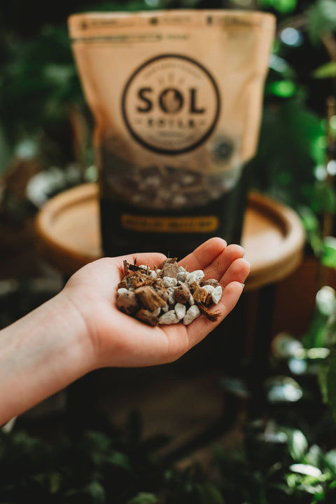 Soil (2Qt) Succulent Gritty Mix: 2 Quarts