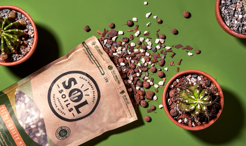 Soil (2Qt) Cactus Gritty Mix: 2 Quarts