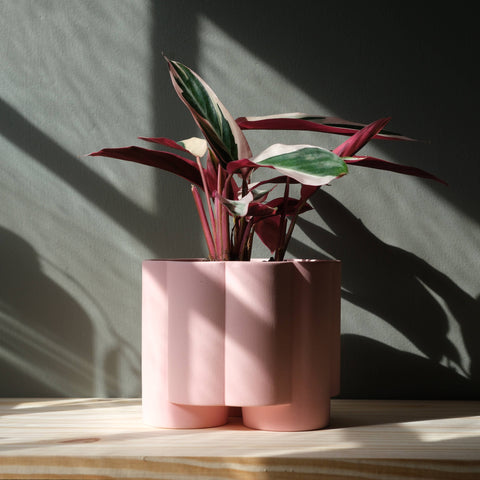 Pillar Planter: Brick