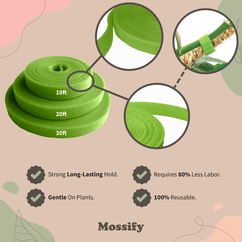 Plant Tape - Pull Your Plants Up - Reusable Plant Tape: 10 Feet