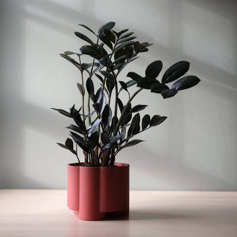 Pillar Planter: Black