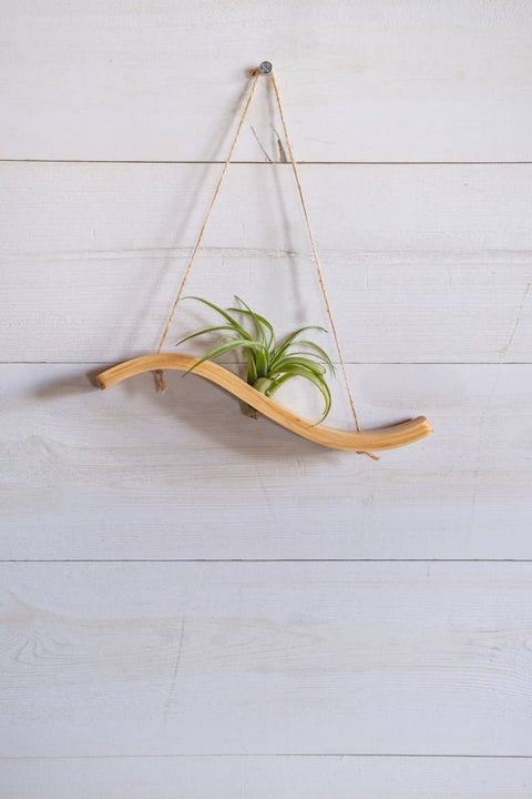 Mini Wave Air Plant Hanger, Air Plant Display, Mini Wave, Air Plant Hanger, Mini Plant Hanger, Bent Wood