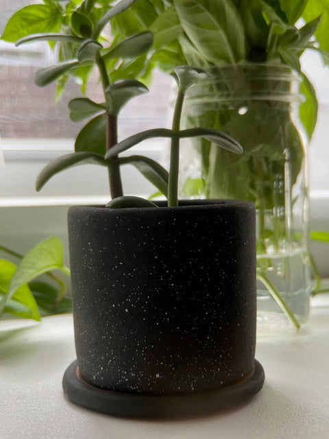 Small Ceramic Planter: White