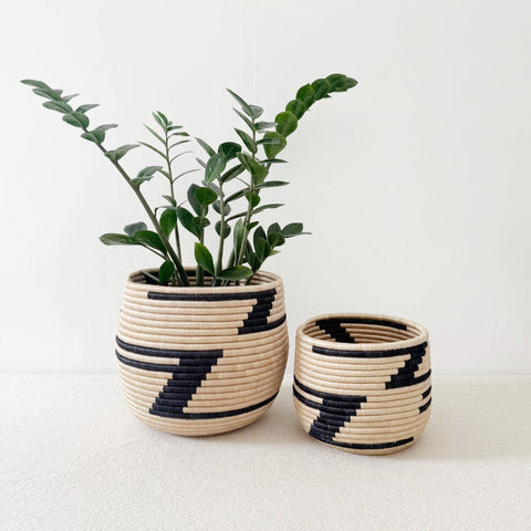 Honey Pot Basket: Muyira L