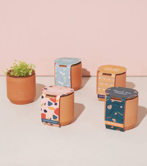 Tiny Terracotta Grow Kits: Good Luck Clover