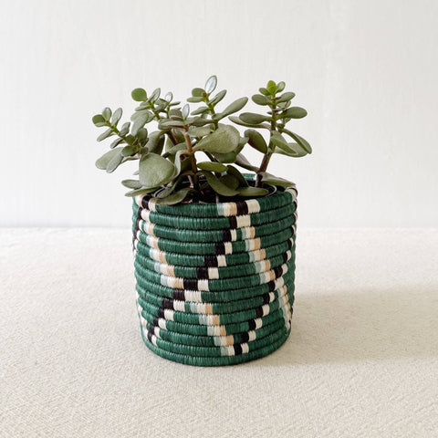 Storage Plant Basket (Set of 3): Kasuga