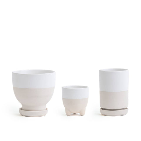 Plant Junkie Set - 16 pc/cspk: Textured Forest