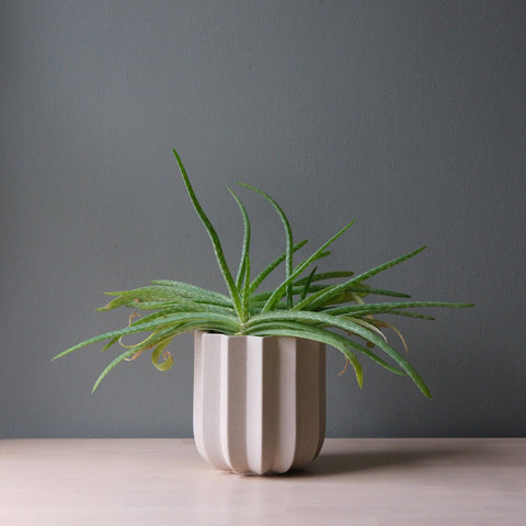Wrap Planter: Dune / 5 inch
