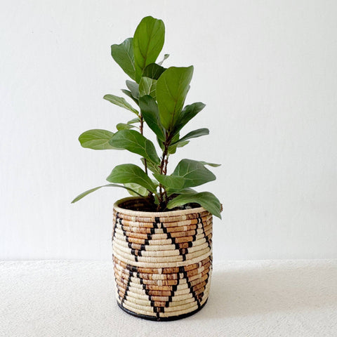 Storage Plant Basket: Busisi (Set of 3)