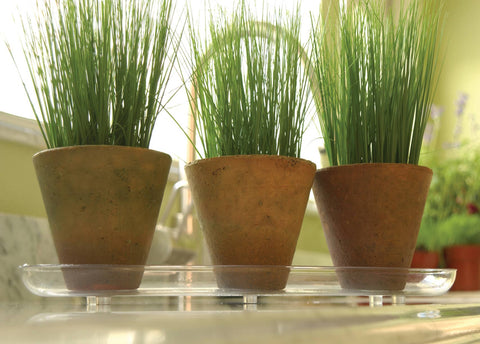 Plantpak 4 X 14