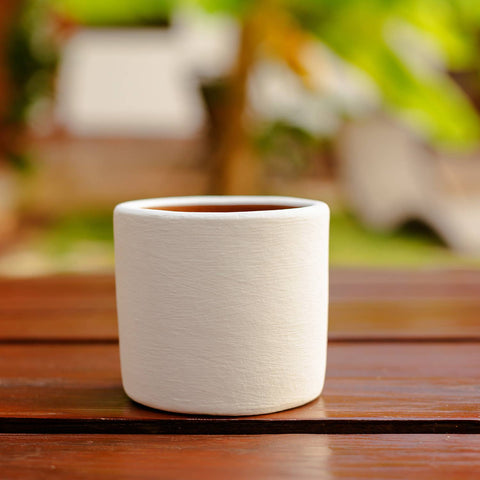 Small Ceramic Planter: Black
