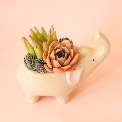 Elephant Planter | Sand: M