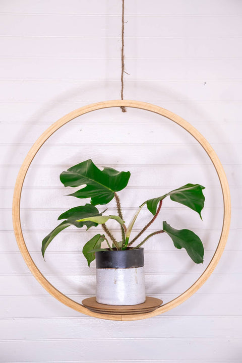Large Bubble Hanging Planter: Natural Pine