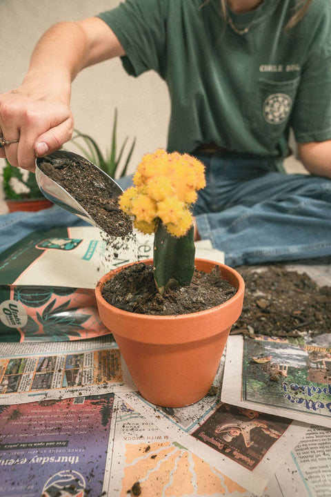 Bulk Soil - Succulent and Cactus Mix (3 Sizes): 1 Cubic Foot