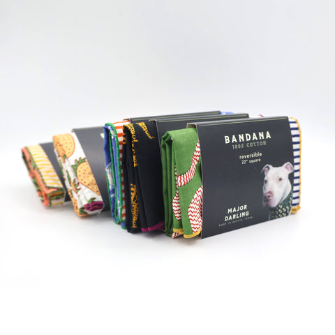 Double Sided Dog Bandana: Blue Floral